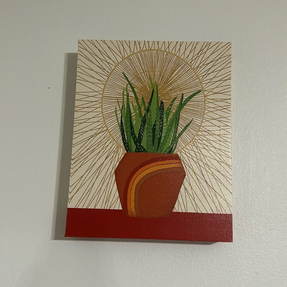 Succulent decor